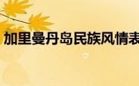 加里曼丹岛民族风情表演（加里曼丹岛民族）