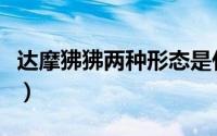达摩狒狒两种形态是什么（达摩狒狒两种形态）