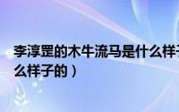 李淳罡的木牛流马是什么样子的人（李淳罡的木牛流马是什么样子的）