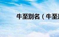 牛至别名（牛至是什么意思网络）