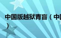 中国版越狱青盲（中国版的越狱电视剧有哪些）