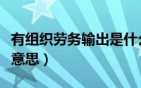 有组织劳务输出是什么意思（劳务输出是什么意思）
