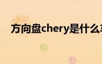 方向盘chery是什么车（chery是什么车）