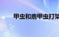甲虫和鹿甲虫打架（鹿甲虫的资料）