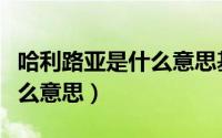 哈利路亚是什么意思基督教的（哈利路亚是什么意思）