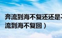 奔流到海不复还还是不复回（粤语歌词为何奔流到海不复回）