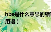 hbs是什么意思的缩写（hbs是什么意思网络用语）