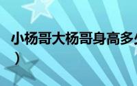 小杨哥大杨哥身高多少（小杨哥身高到底多高）