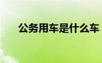 公务用车是什么车（公务用车是什么）