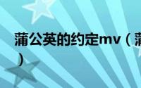 蒲公英的约定mv（蒲公英的约定电影叫什么）