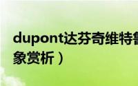 dupont达芬奇维特鲁（达芬奇维特鲁威人形象赏析）