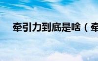 牵引力到底是啥（牵引力到底是什么力）