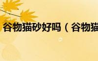 谷物猫砂好吗（谷物猫砂和豆腐猫砂哪个好）