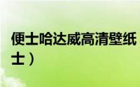 便士哈达威高清壁纸（便士哈达威为什么叫便士）