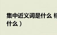 集中近义词是什么 标准答案（集中近义词是什么）