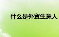 什么是外贸生意人（什么是外贸生意）