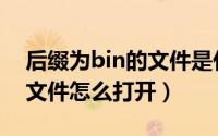 后缀为bin的文件是什么（后缀为bin的图像文件怎么打开）