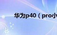 华为p40（pro小艺建议怎么设置）
