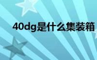 40dg是什么集装箱（DG是什么集装箱）
