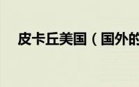 皮卡丘美国（国外的皮卡丘电影都有啥）