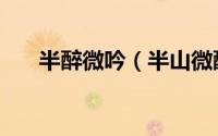半醉微吟（半山微醉尽余欢什么意思）