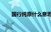 国行纯原什么意思（纯原什么意思）