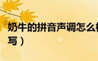 奶牛的拼音声调怎么标（奶牛的音节声调怎么写）