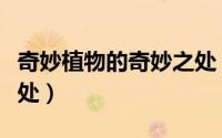 奇妙植物的奇妙之处（奇妙植物有哪些奇妙之处）