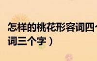 怎样的桃花形容词四个字（什么样的桃花形容词三个字）