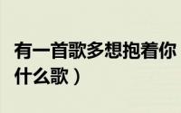 有一首歌多想抱着你（歌词中有多想抱抱你是什么歌）