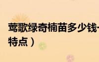 莺歌绿奇楠苗多少钱一株（降真香莺歌绿奇楠特点）
