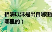 相濡以沫是出自哪里的典故（相濡以沫是出自哪里的）