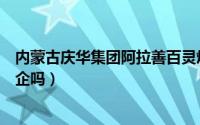 内蒙古庆华集团阿拉善百灵煤矿简介（内蒙古庆华集团是央企吗）