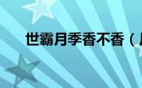 世霸月季香不香（月季世霸的优缺点）