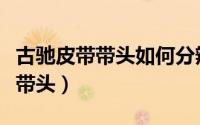 古驰皮带带头如何分辨真假（古驰有哪几种皮带头）
