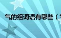 气的组词语有哪些（气字组词有哪些词语）
