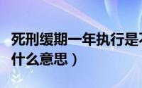 死刑缓期一年执行是不是必死（死刑缓刑一年什么意思）