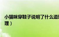 小猫咪穿鞋子说明了什么道理（小猫咪穿鞋子明白了什么道理）