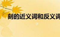 刻的近义词和反义词（刻痕的近反义词）