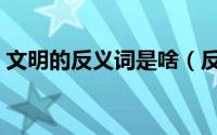 文明的反义词是啥（反义词：文明的反义词）
