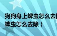 狗狗身上蜱虫怎么去除最快方法（狗狗身上的蜱虫怎么去除）