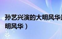 孙艺兴演的大明风华是哪部剧（孙艺兴演的大明风华）