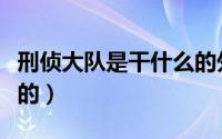 刑侦大队是干什么的外包（刑侦大队是干什么的）
