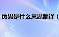 伪男是什么意思翻译（请问伪男是什么意思）