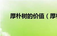 厚朴树的价值（厚朴树的木材好不好）