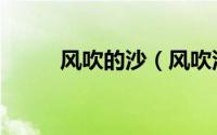 风吹的沙（风吹沙迪克牛仔歌词）