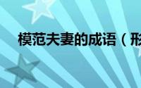 模范夫妻的成语（形容模范夫妻的句子）