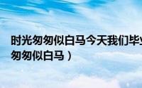 时光匆匆似白马今天我们毕业了歌曲视频（毕业歌歌词时光匆匆似白马）