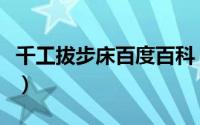 千工拔步床百度百科（千工拔步床的名字来历）