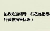 热烈欢迎领导一行莅临指导标语PPT背景（热烈欢迎领导一行莅临指导标语）